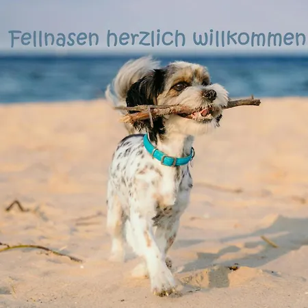 דירה Hafensuite Ipura Vida! - Fuer Leben-geniesser קפלן